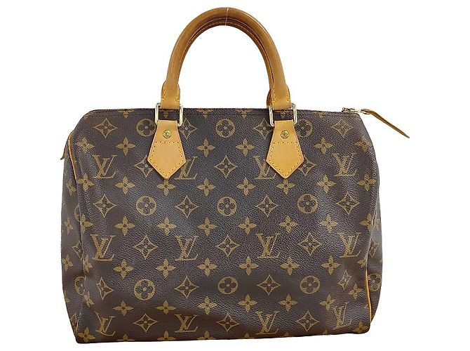 Louis Vuitton Speedy Monogram Canvas 30