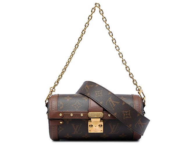 Louis Vuitton Brown Monogram Papillon Trunk