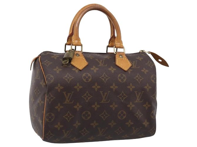 Louis Vuitton Speedy Monogram Canvas 25