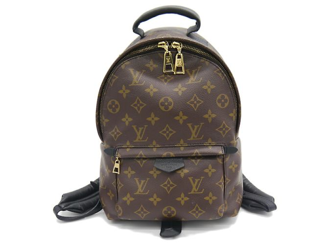 Louis Vuitton Palm Springs Backpack PM