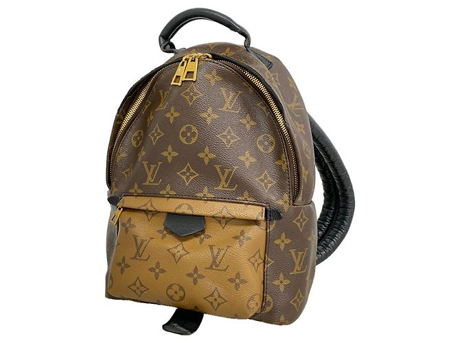 Louis Vuitton Monogram Reverse Palm Springs Rucksack