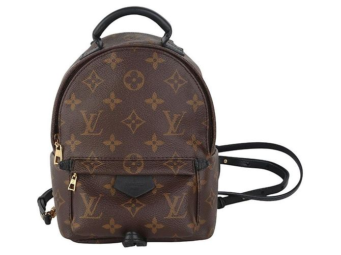 Louis Vuitton Monogram Palm Springs Mini Backpack