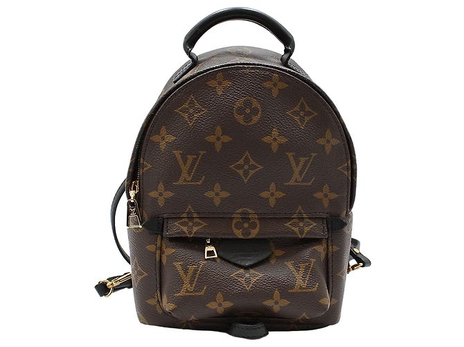 Louis Vuitton Monogram Palm Springs Mini Backpack