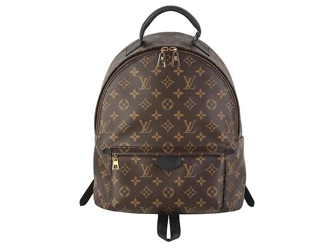 Louis Vuitton Monogram Palm Springs MM Backpack