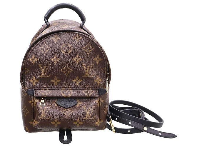 Louis Vuitton Monogram Palm Springs Mini Backpack