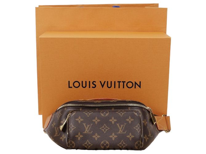 Louis Vuitton Borsa Cintura Monogram
