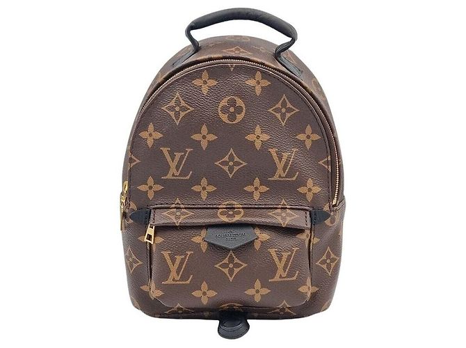 Louis Vuitton Palm Springs Mini Backpack
