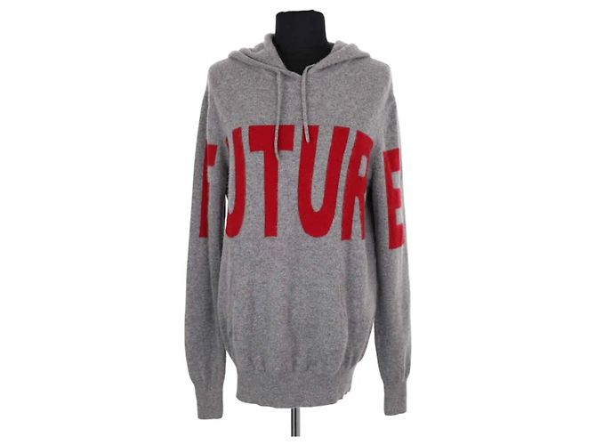 Autre Marque Sudadera con capucha From Future en cachemir gris