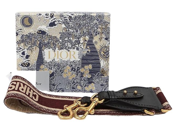 Dior Ring Shoulder Strap