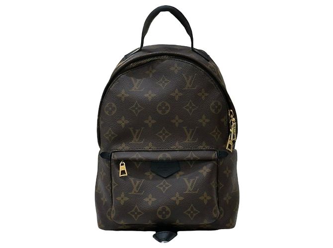 Louis Vuitton Spring Monogram Backpack