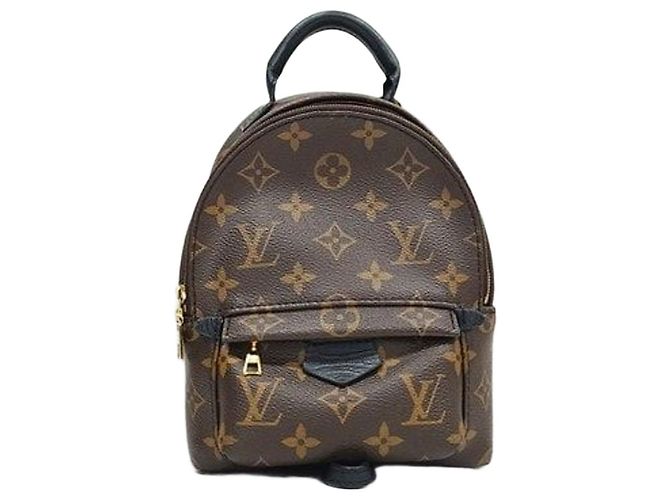 Louis Vuitton Palm Springs Backpack Mini Monogram