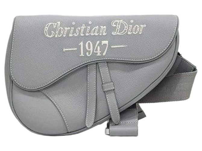 Dior Bolsa Saddle Stitch Gray Grain