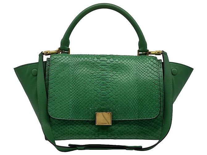 Trapèze Céline Celine Trapeze Leather with Python Medium