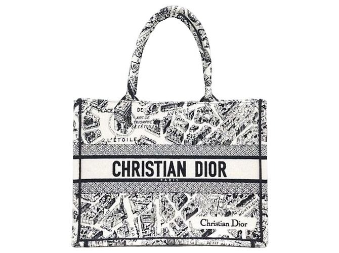 Dior Book Tote Medium Plan de Paris
