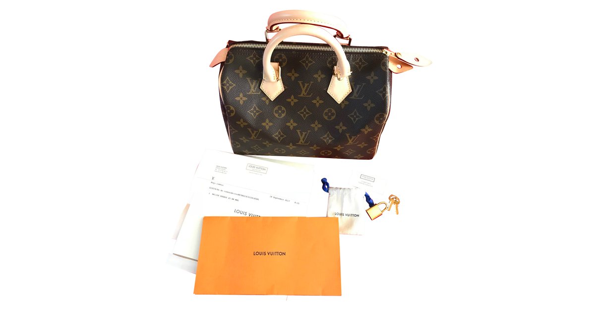 Speedy cloth handbag Louis Vuitton Brown in Cloth - 38823014