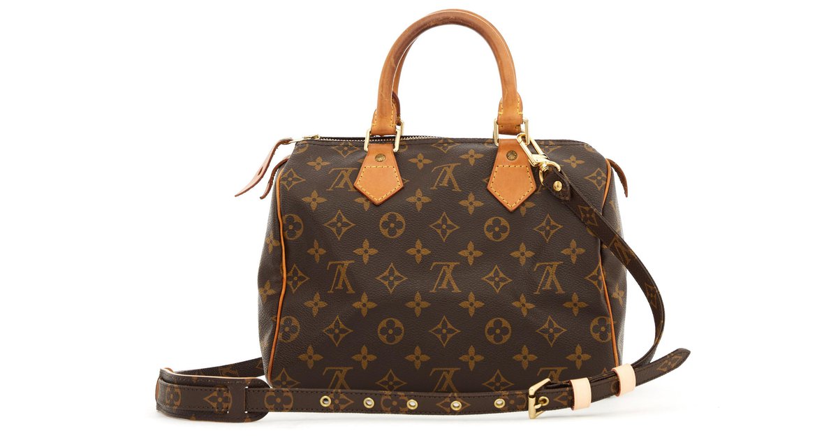 Louis Vuitton Sublime speedy shoulder bag world tour Dark brown Leather  Cloth ref.179306 - Joli Closet
