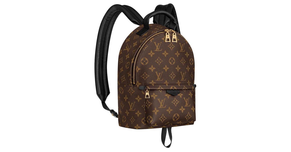 Palm springs leather backpack Louis Vuitton Brown in Leather - 29271973