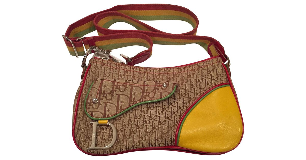 Dior Rasta Mania Saddle Bag Multiple colors Leather Cloth ref.380896 - Joli  Closet