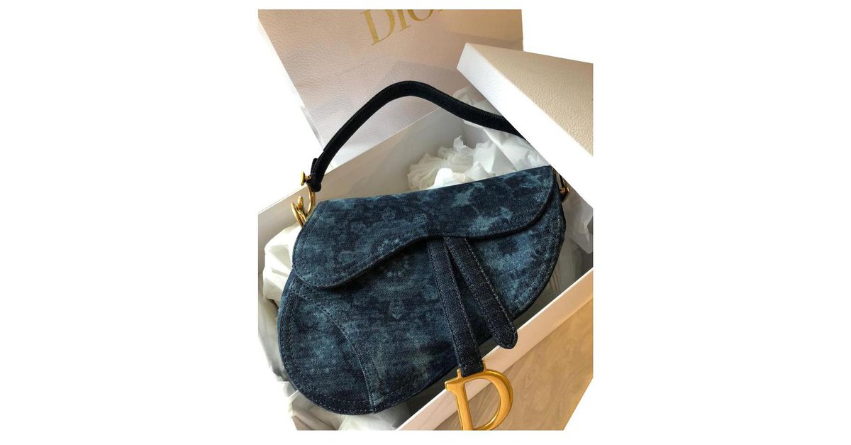 Dior Changing Bag Blue in Oblique Canvas - US