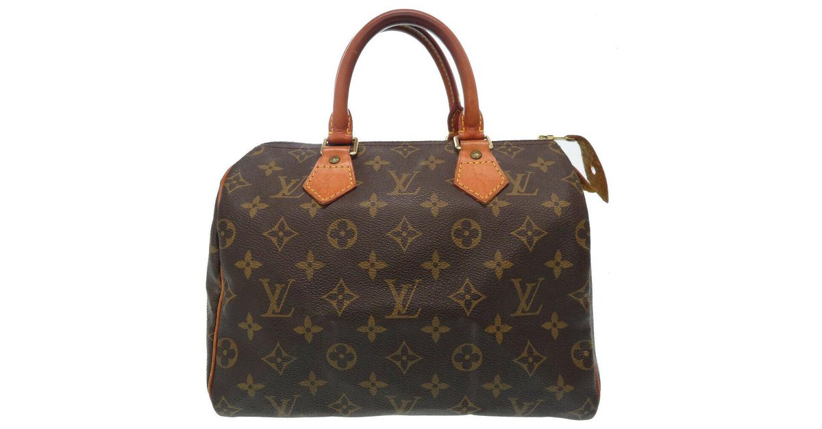 Louis Vuitton Louis Vuitton Monogram Speedy 25 Handbags Other Brown ref.173360 - Joli Closet