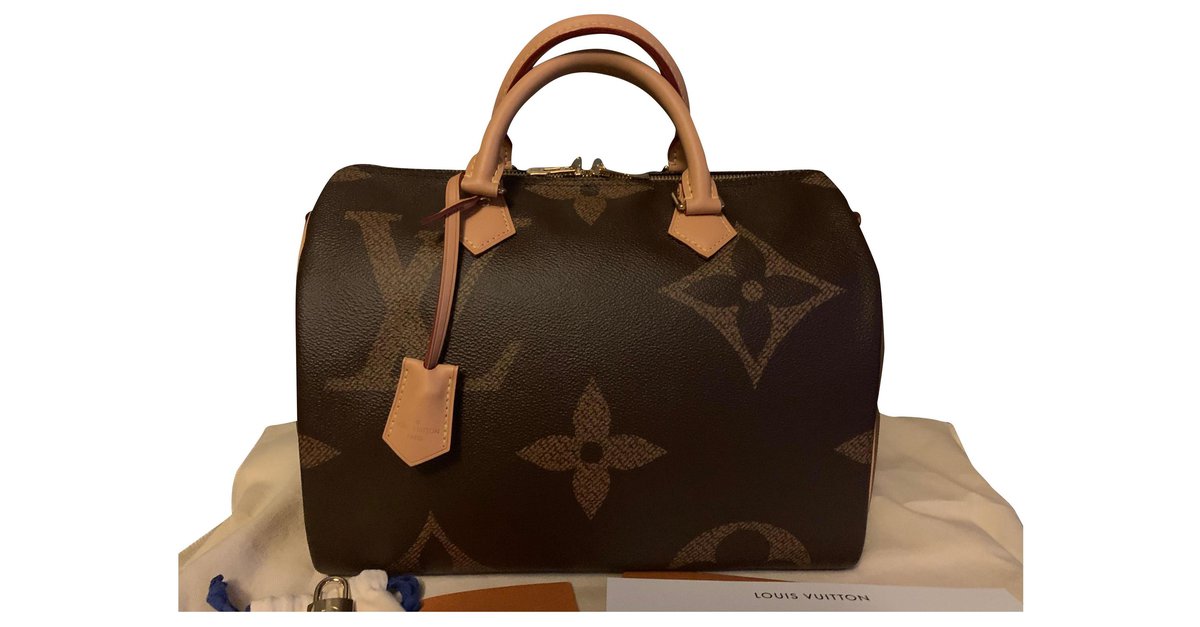 Louis Vuitton, Bags, Sold Louis Vuitton Speedy Reverse Giant Monogram