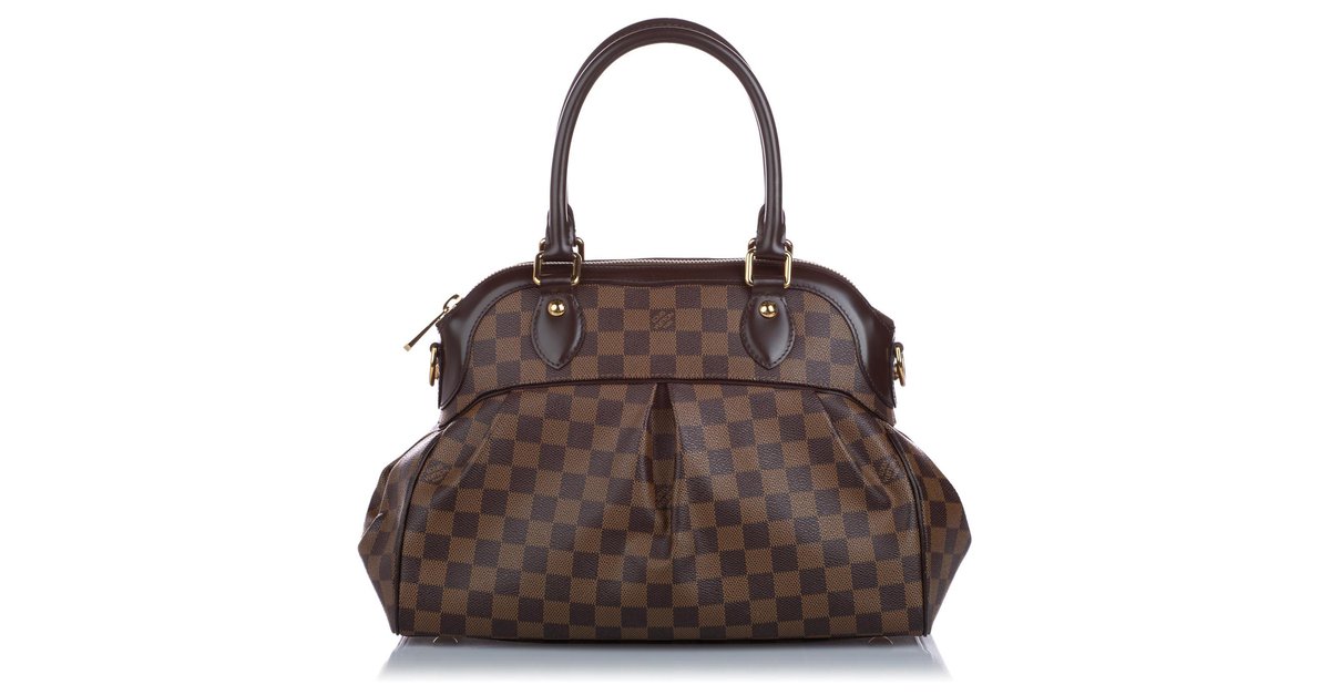 Louis Vuitton Brown Damier Ebene Trevi PM Leather Cloth Pony-style calfskin  ref.981298 - Joli Closet