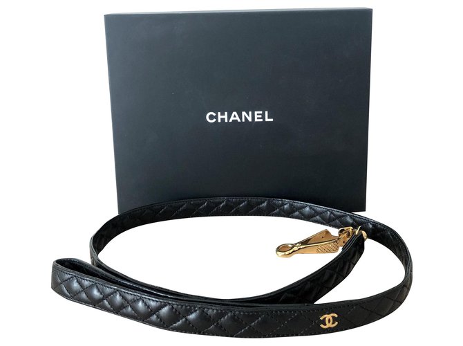 Chanel Dog Collar And Leash Dog Collar Classic Chewnel In A