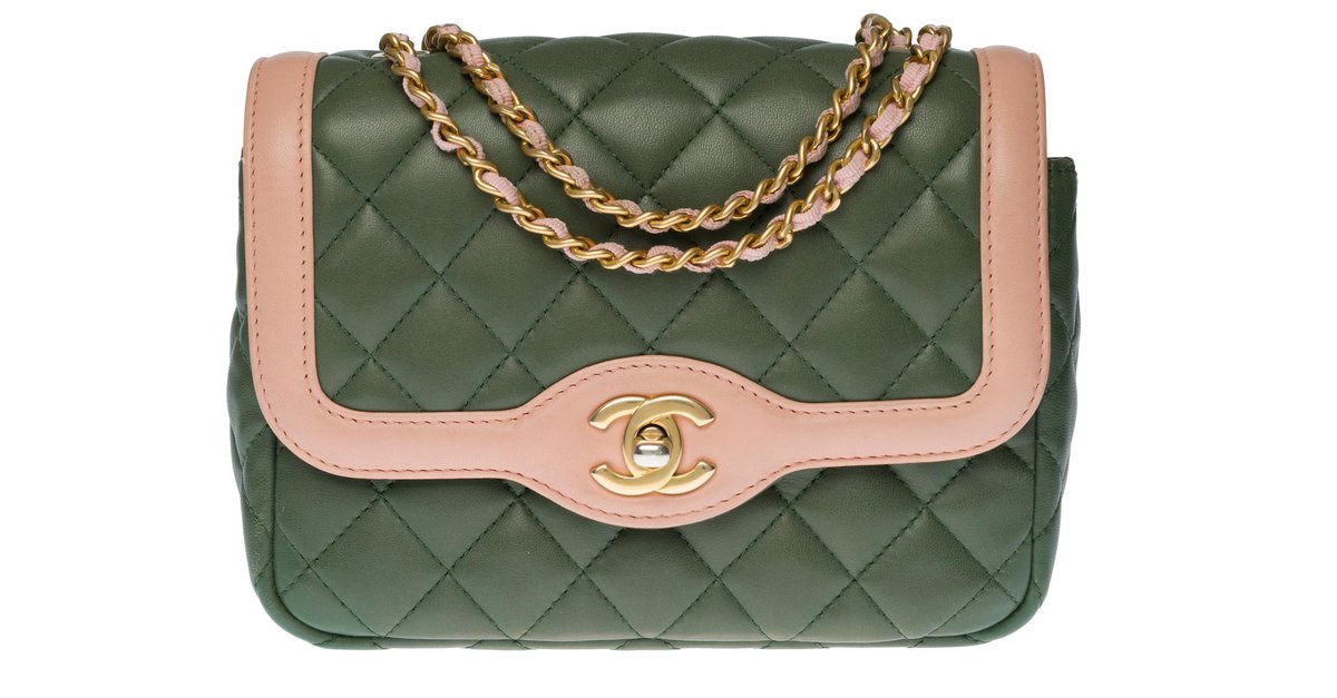 Splendid and Rare two-tone Chanel Diana Mini bag in green and pink
