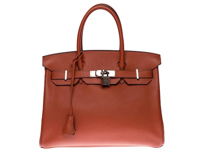 hermes brique birkin