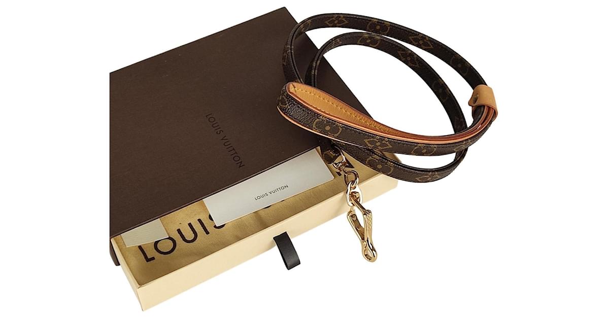 Altri gioielli Louis Vuitton guinzaglio per cani Marrone Tela ref.492231 -  Joli Closet