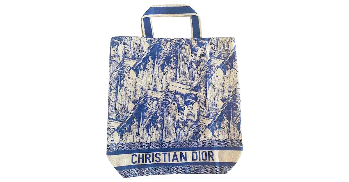 sac a main dior cabas vip cruise 2021 toile gris