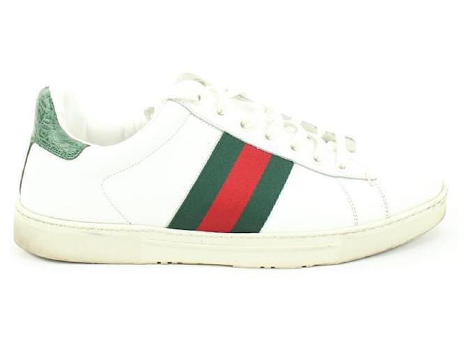 gucci web sneaker