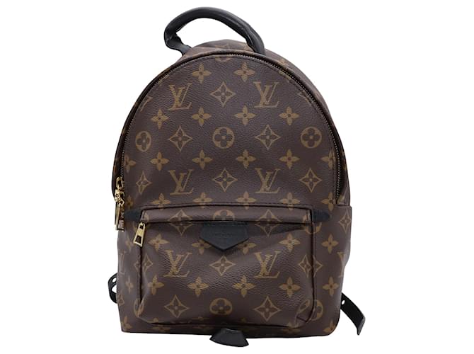 Louis Vuitton Monogram Palm Springs PM 