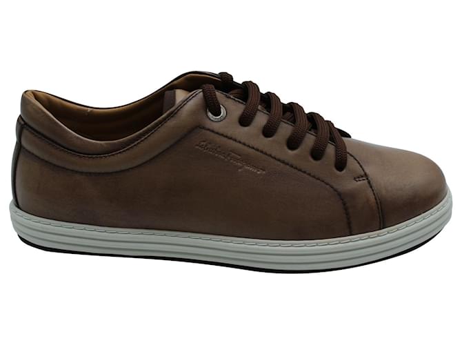 Salvatore Ferragamo Sneakers in Brown Leather ref.571300
