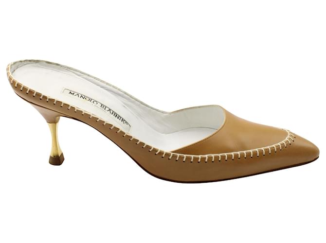 Manolo Blahnik Carolyne Pointed Toe Kitten Heel Mules in Brown