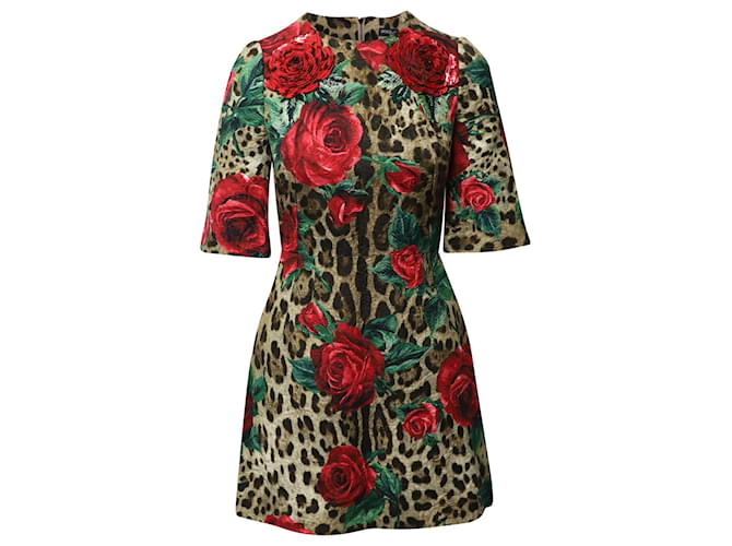 leopard print dress with red roses Dolce & Gabbana Rose Leopard Print Dress