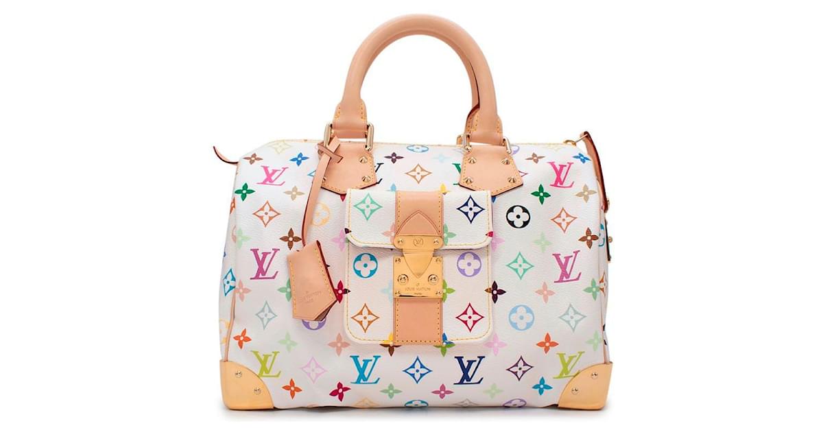 Louis Vuitton x Murakami Speedy 30 Multicolour bag