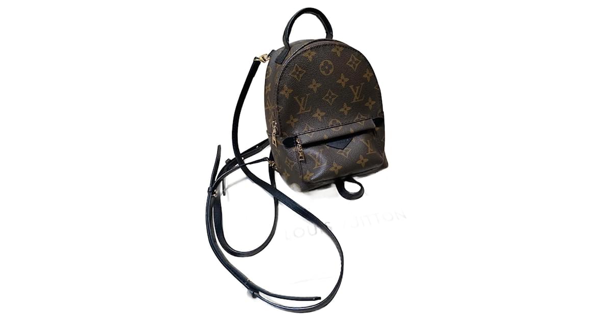 Palm springs leather backpack Louis Vuitton Brown in Leather - 31876944