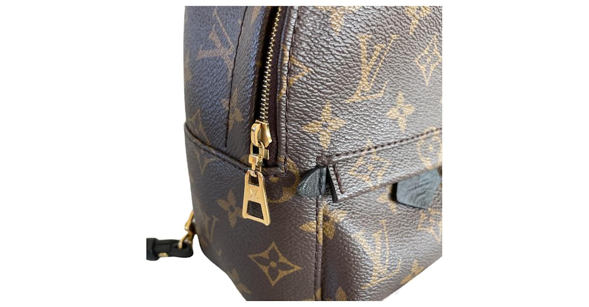 Louis Vuitton Palm springs mini backpack rug sack monogram Brown