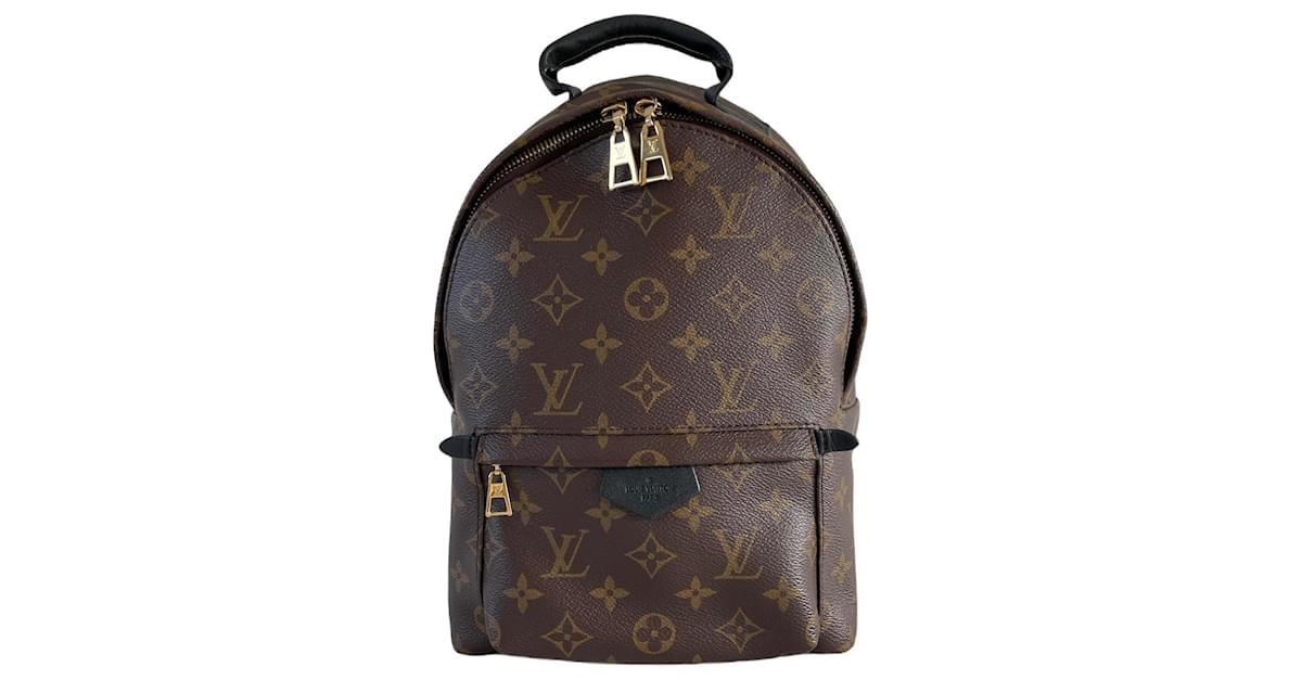 Louis Vuitton Palm Springs PM backpack monogram black leather rug sack Brown  Light brown Dark brown Cloth ref.850283 - Joli Closet