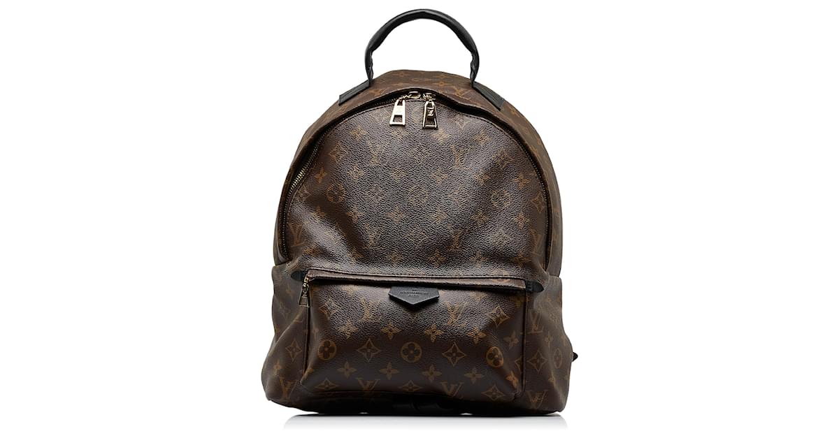 Near Mint] Louis Vuitton Christopher PM Monogram Leather Backpack