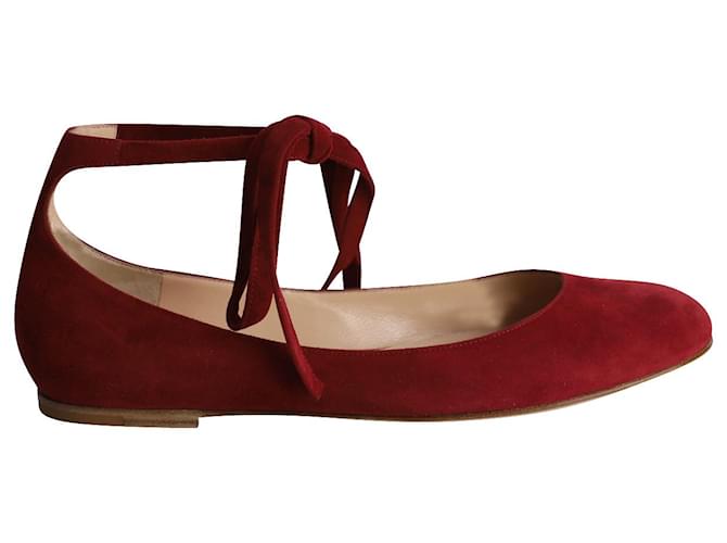 Gianvito Rossi Carla Lace-up Flats in Red Suede ref.1013958