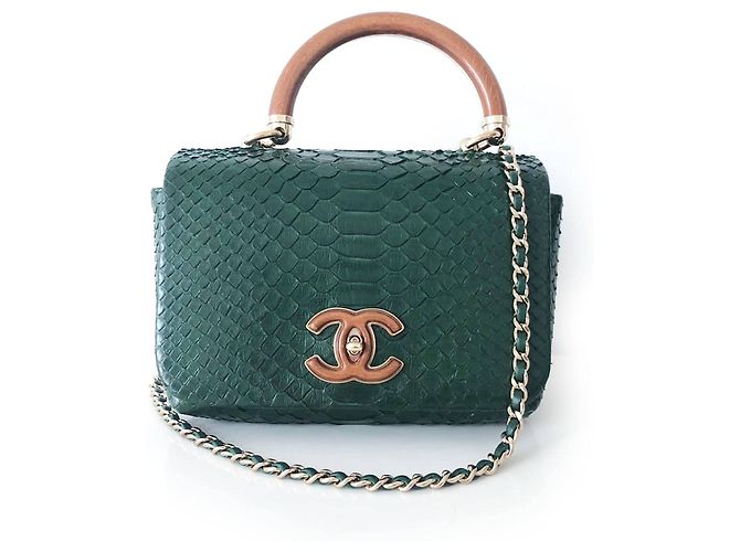 Chanel Mini Dark Green Python Crossbody Bag Exotic leather ref.1035878 ...