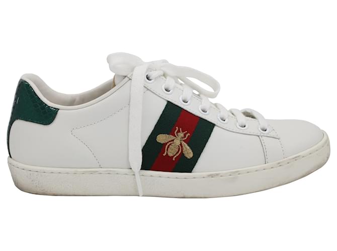 Gucci Bee Embroidered Ace Sneakers in White Leather