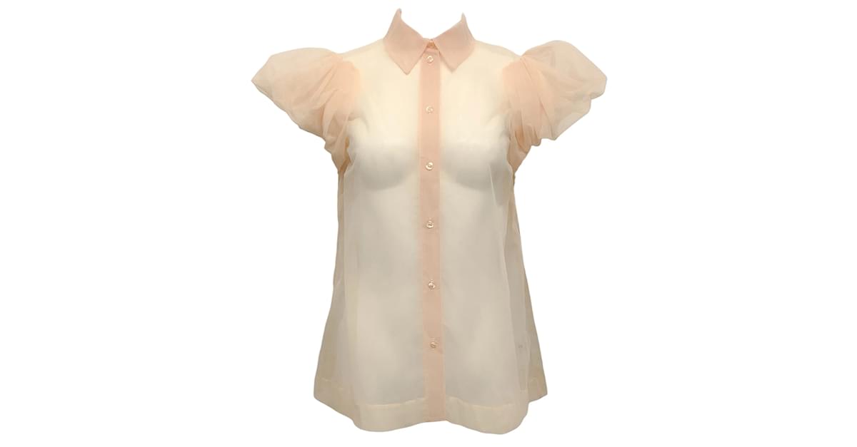 Nude Sheer Blouse