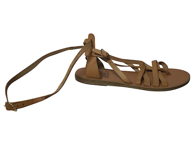 Ancient Greek Sandals Strappy Gladiator Sandals in Nude Leather
