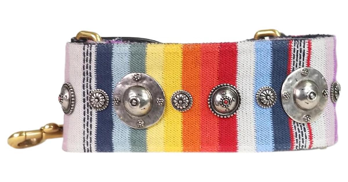 Dior clearance rainbow strap