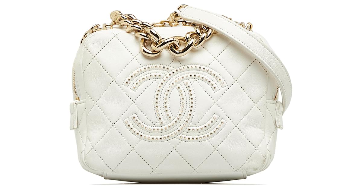 Chanel camera bag discount caviar