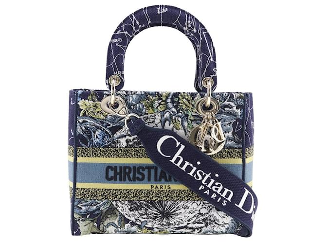 Dior Lady Dior Multiple colors Cloth ref.1294878 - Joli Closet