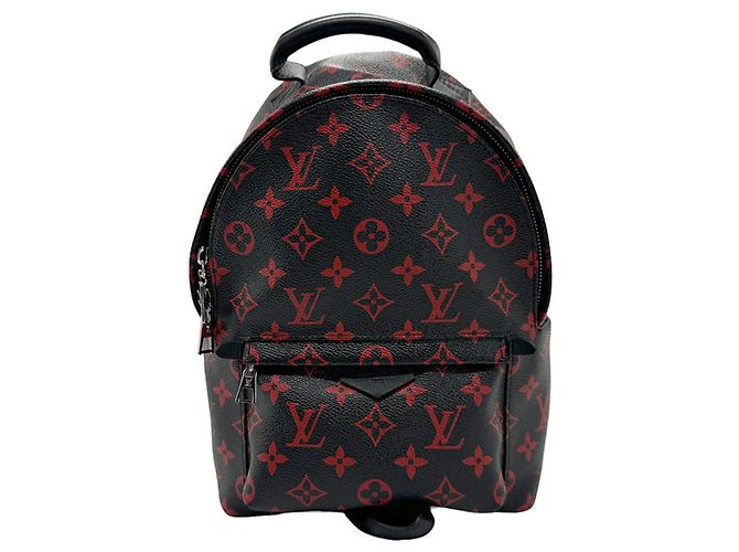 Louis Vuitton Monogram Anfleur Rouge Palm Springs PM  display picture 1